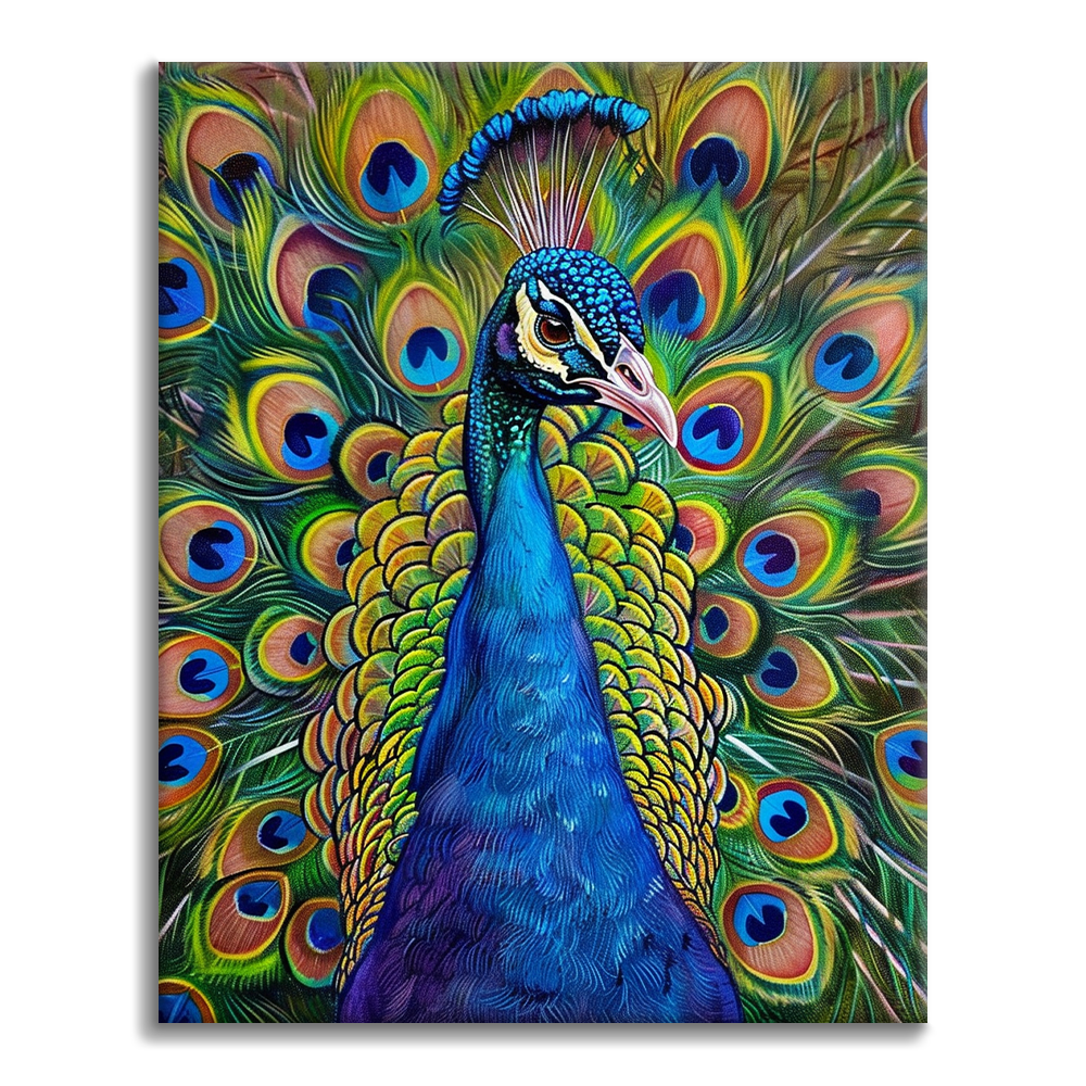 Pavo real – Pintar por números