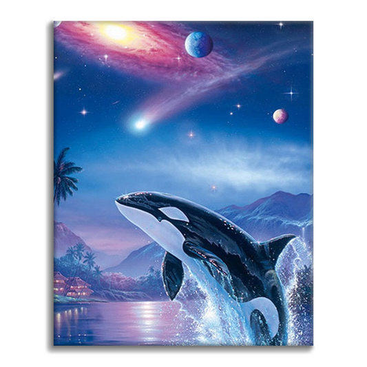 Ballena Planeta Aurora – Pintar por números